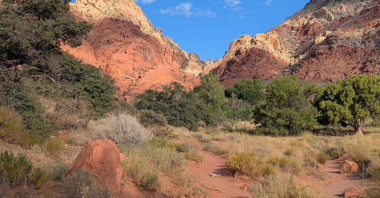 Beyond the Strip: Memorable activities for a Las Vegas bachelor trip