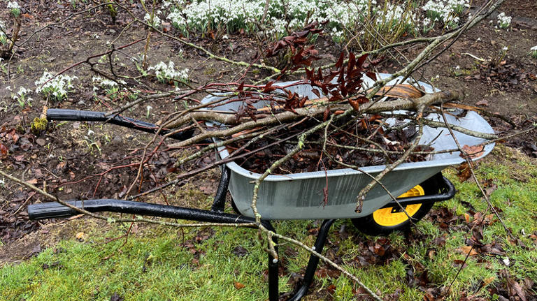 Should you rake your lawn before you mow?