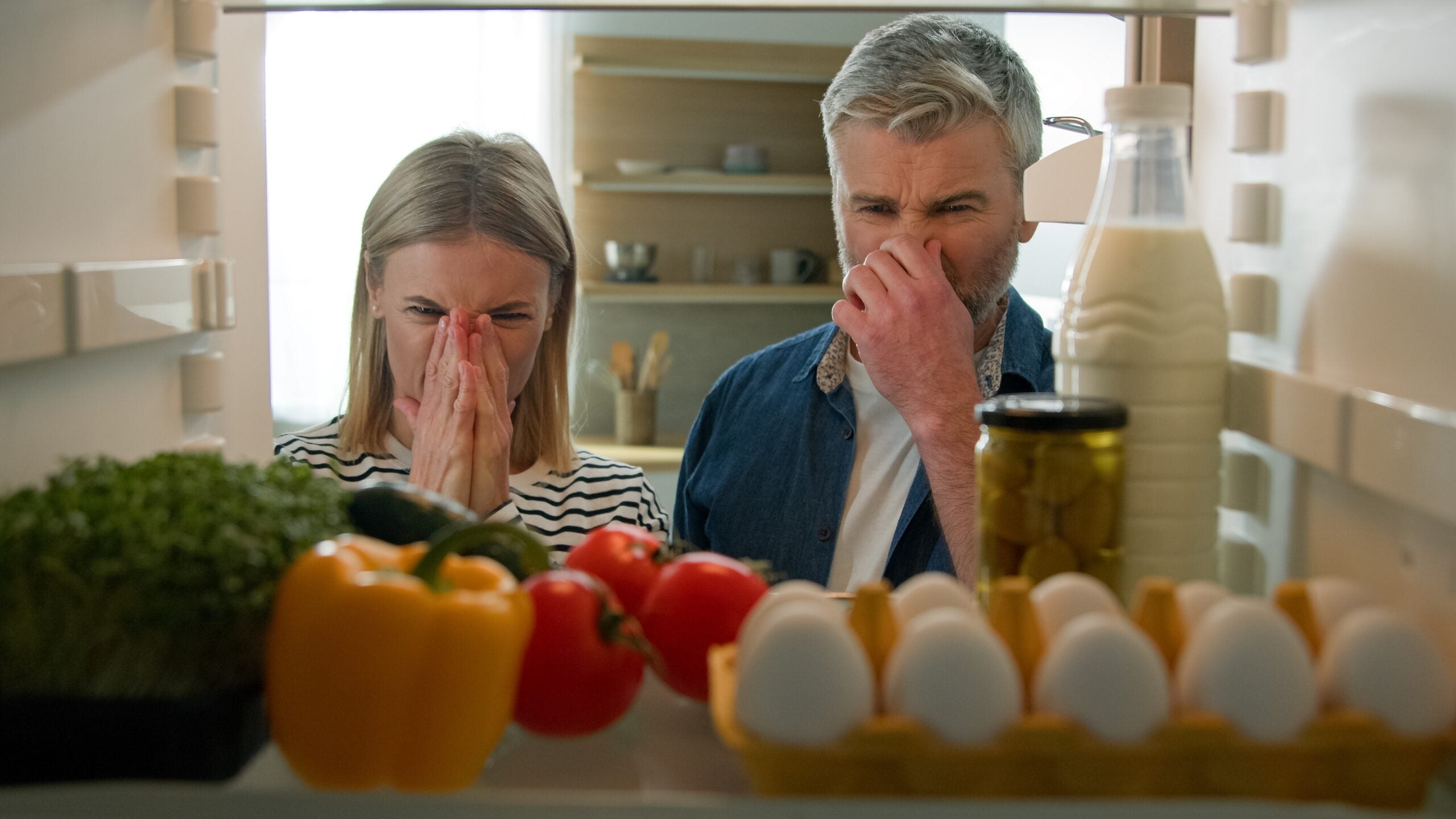 Berkeley's new electronic nose recognizes food odors and signs of spoilage