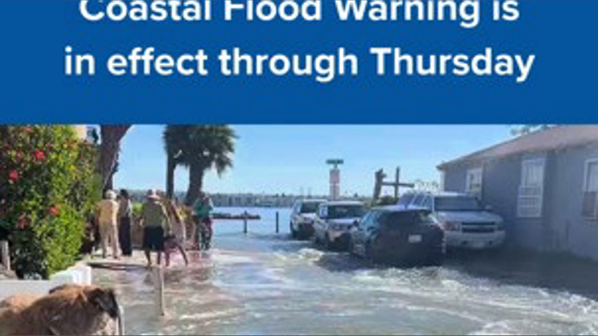 Flooding in Mission Beach during high tides