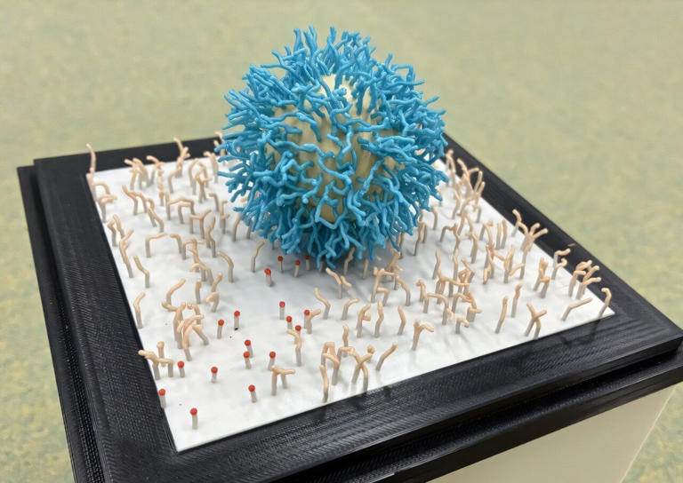 Simulations reveal design rules for high-performance DNA particle motors