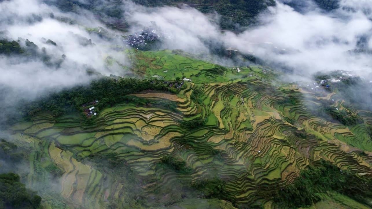 Maligcong Rice Terraces gets national heritage marker