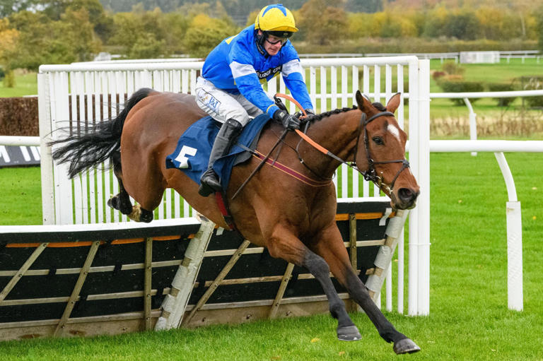 Borders racehorse trainers Stuart Coltherd and Ewan Whillans among ...