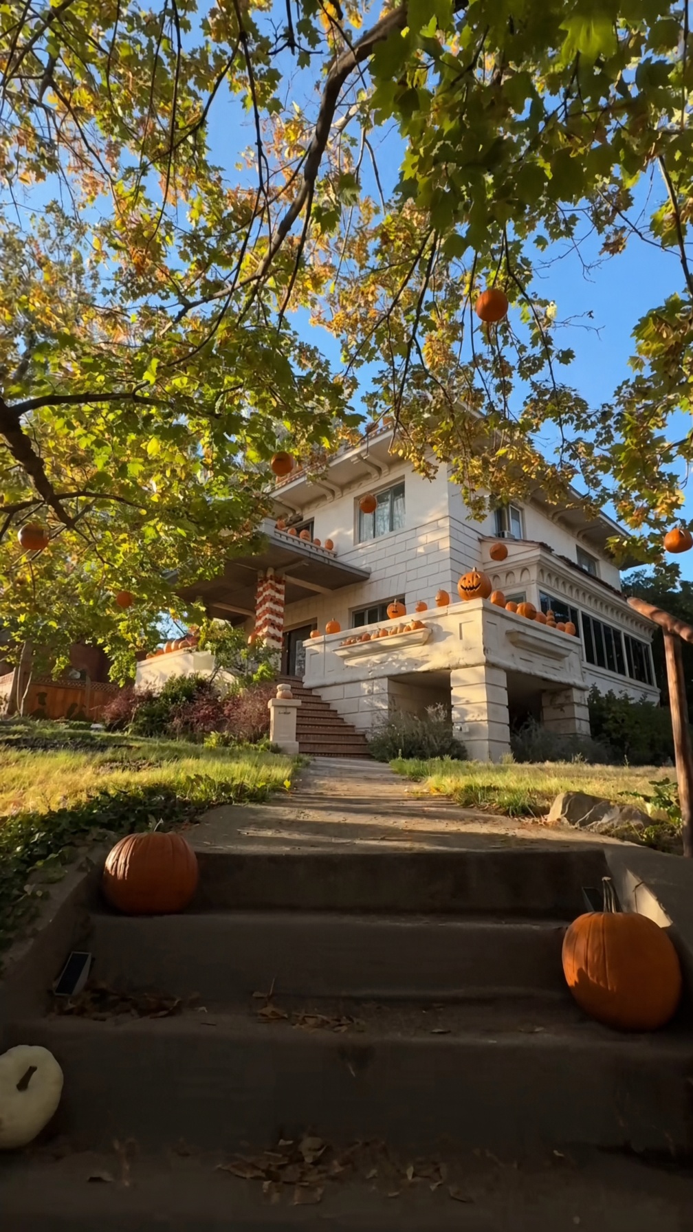 A house's appearance across different seasons