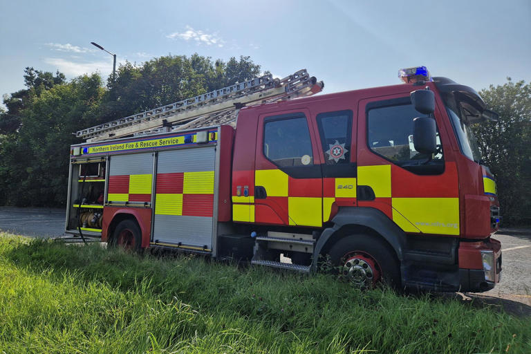 Specialist Animal Rescue team tasked to blaze in Gilford but 8 of the 9 ...