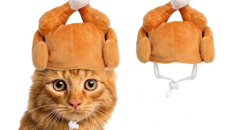 Walmart's $3.59 turkey hat makes your cat look like Thanksgiving dinner