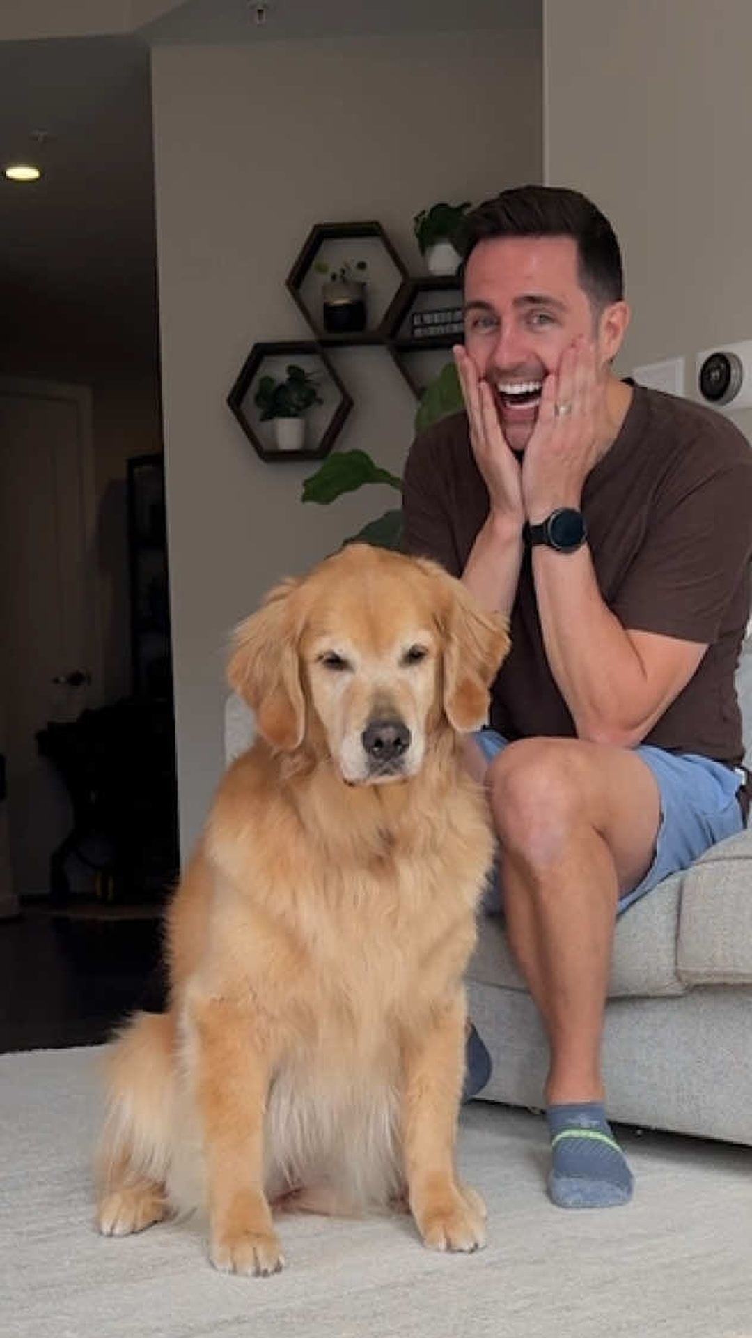 Two golden retrievers react to music and their takes couldn’t be more ...