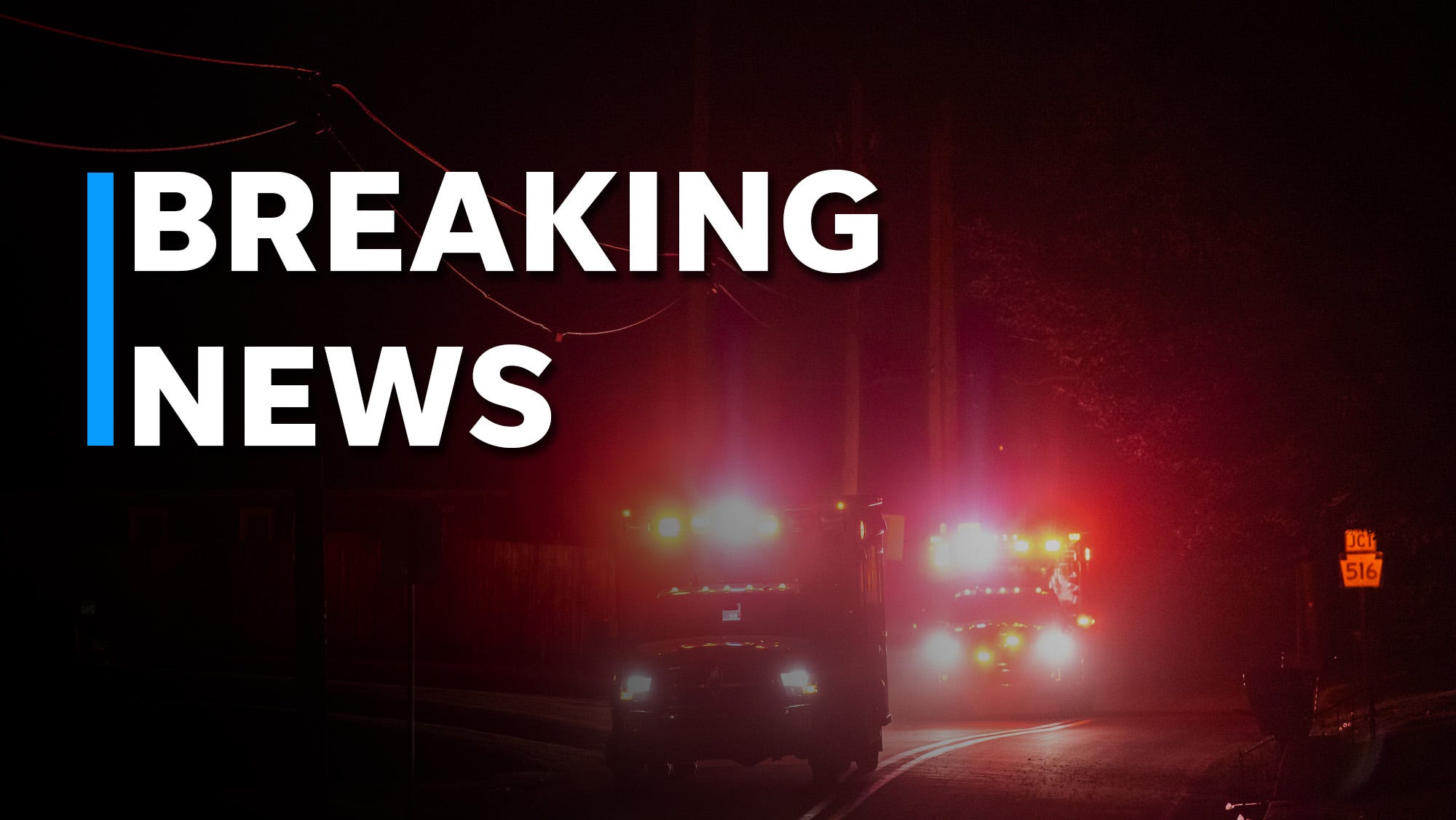 Man rescued after being trapped under fallen tree in York County