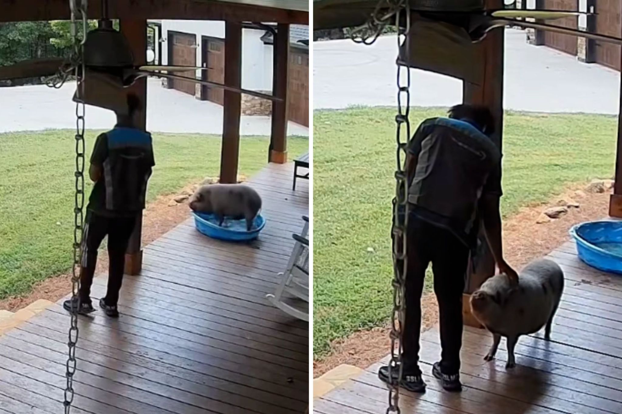 Delivery driver sees unexpected family pet on porch—camera catches his ...