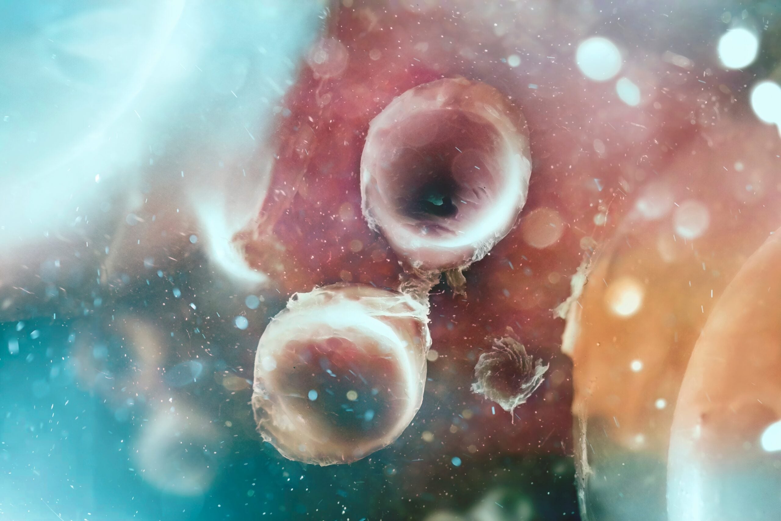 Major breakthrough reveals how cells create their cilia