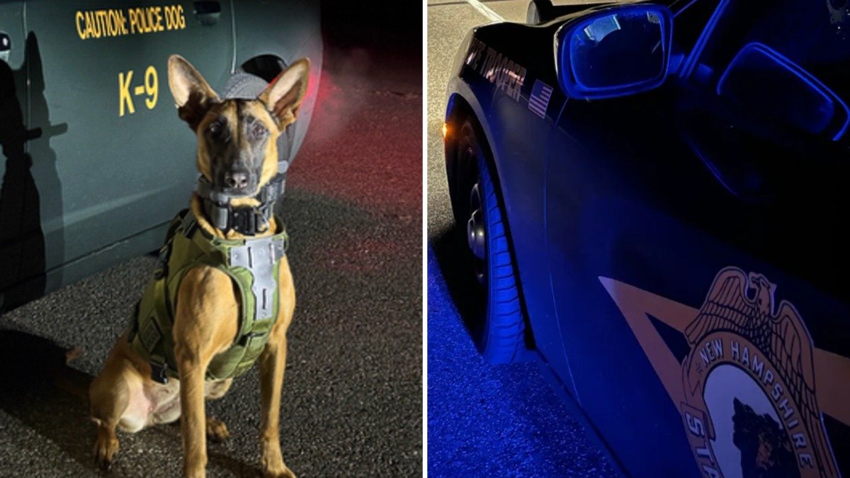 Police K-9 helps apprehend suspect after 100 mph car chase across NH