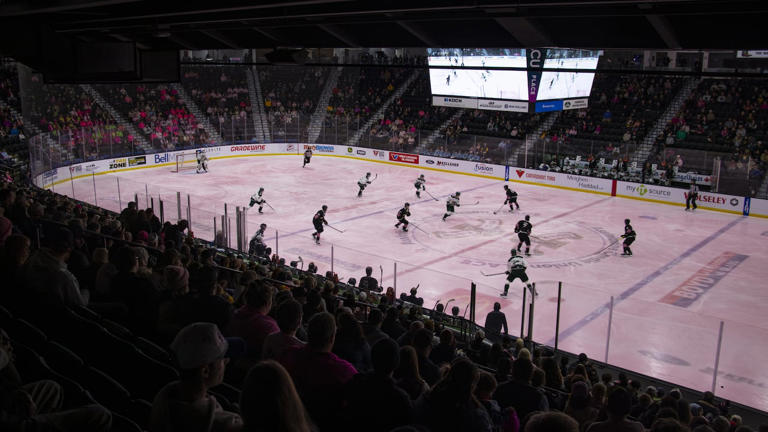 'Pink the Rink' event sees Brandon Wheat Kings skate on pink ice for ...