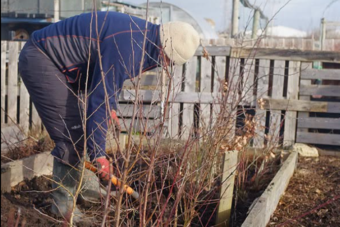 Eastbourne nursery looking for volunteers to join tree-planting project