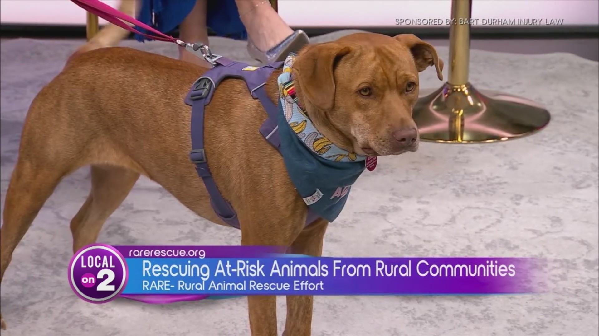 Bart Durham's big giveback: RARE Rescue