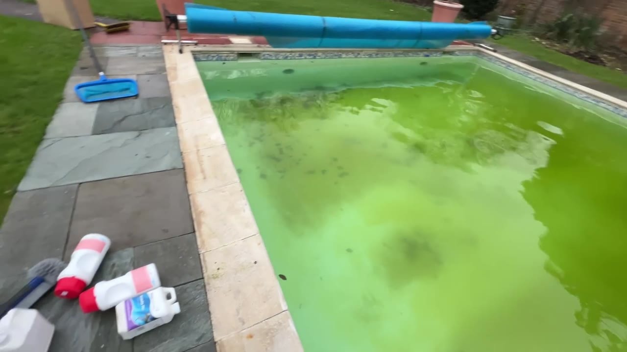 This swimming pool was turning green again - the owner needed it closed ...