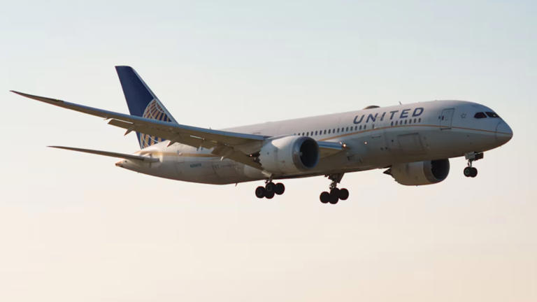 United Airlines crew goes into lockdown, diverts flight after traveller ...