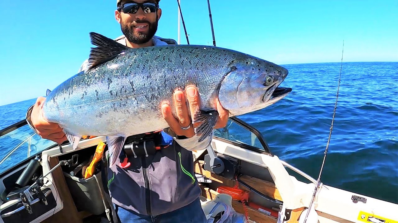 King salmon didn't want the bait... had to get creative!