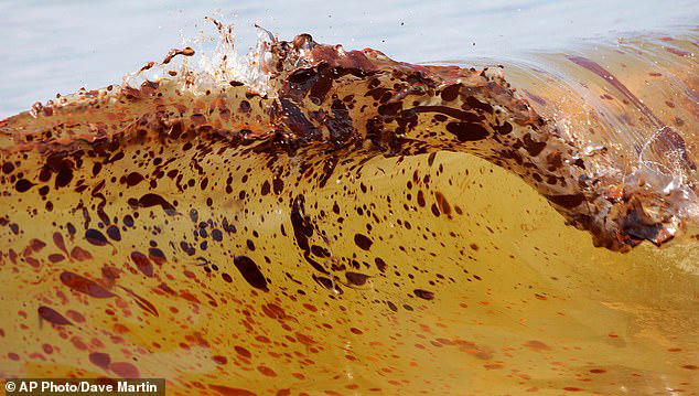 Deepwater Horizon spill is still wreaking havoc: Sea life in Gulf of ...