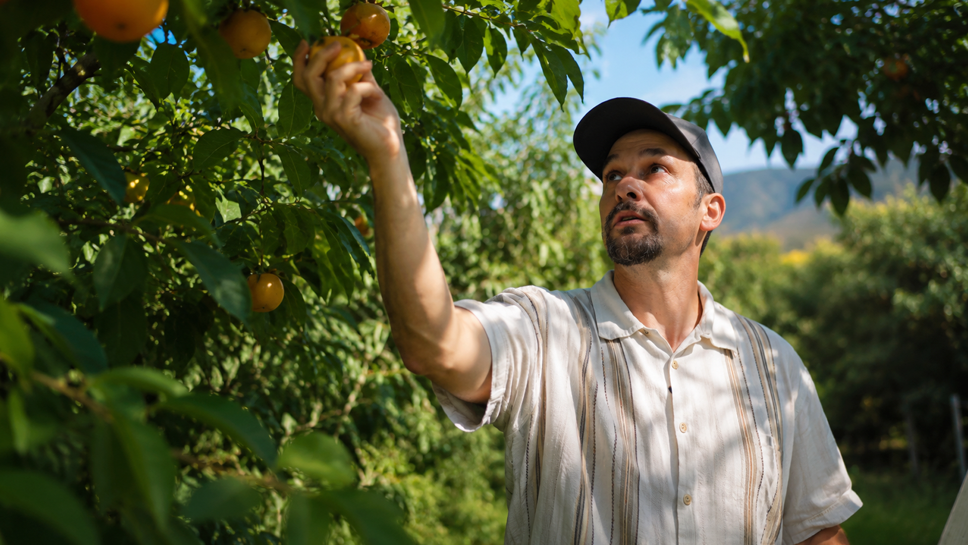 Discovering America's forgotten food forest!