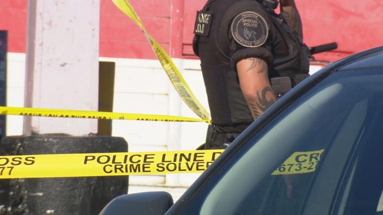 2 suspects arrested months after 2 boys killed in Northeast DC shooting