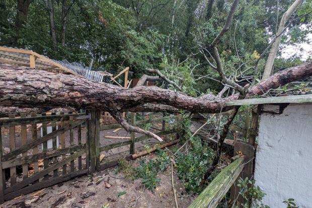 Storm Austen destroys community farm's animal enclosures and education ...