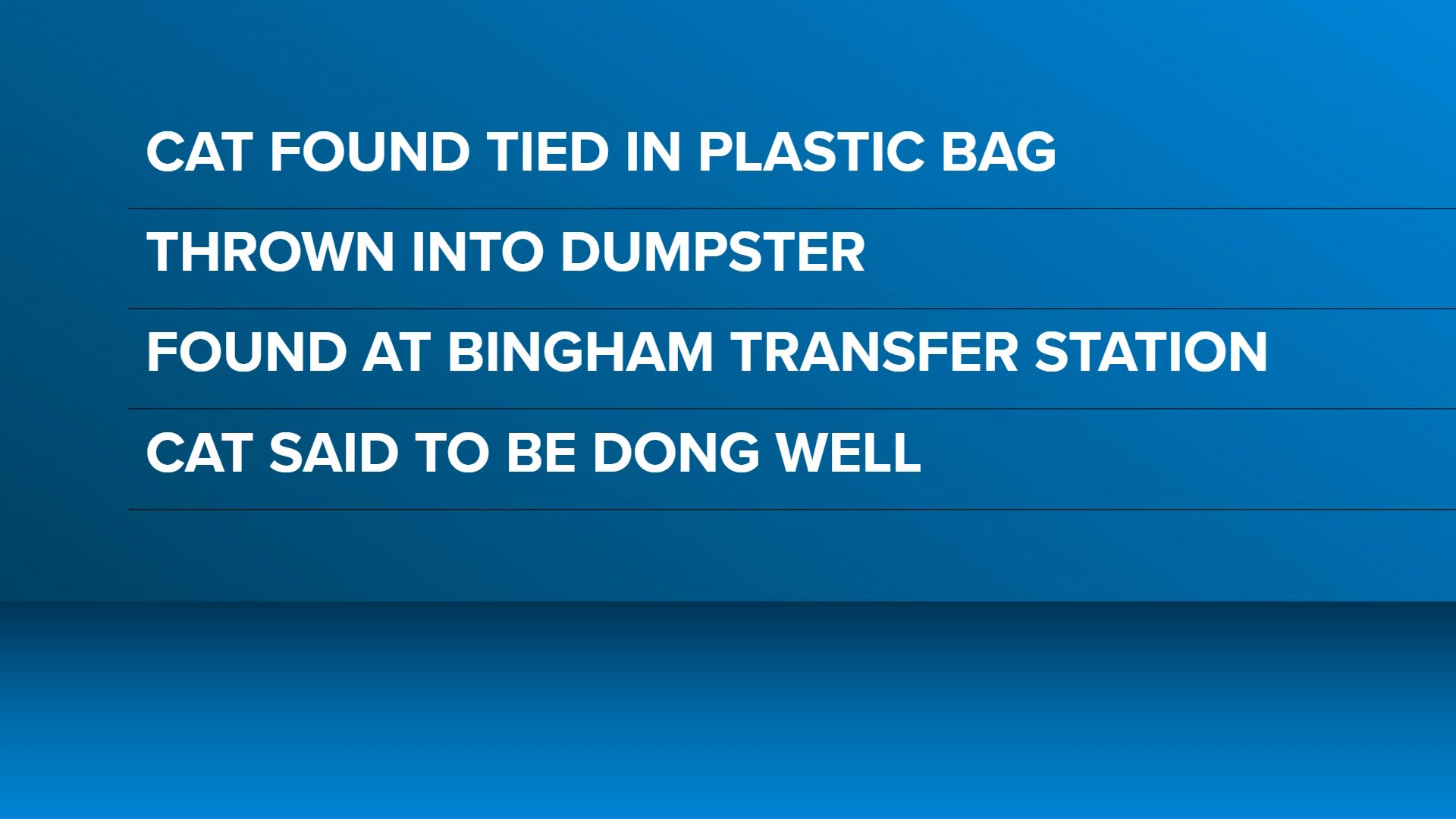 Cat ok after being found in a plastic bag at the Bingham transfer station
