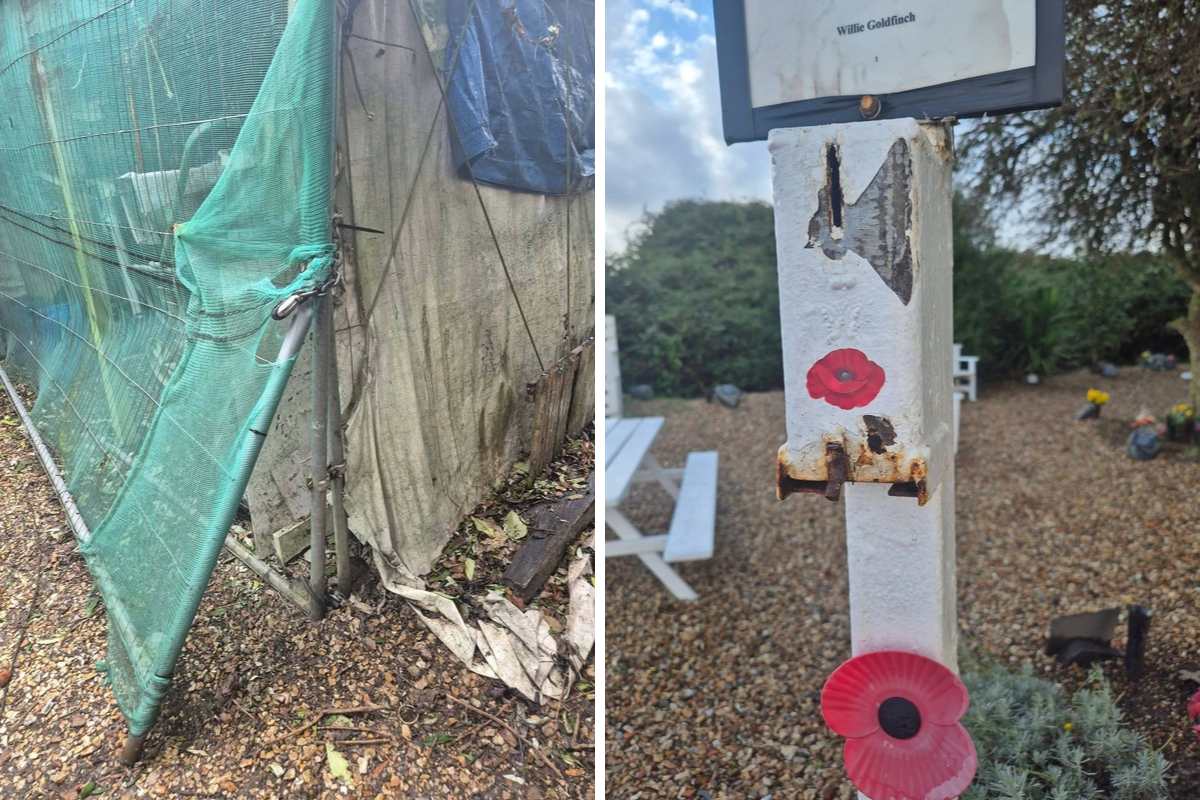 Thief steals from the People's Memorial in Portsmouth with remembrance ...
