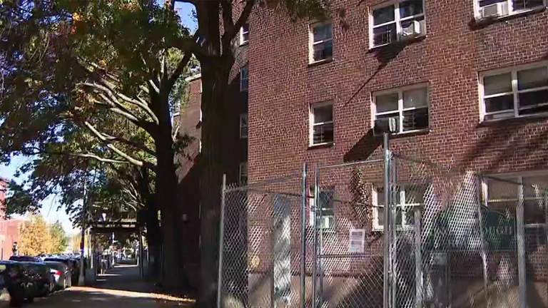 Pregnant Brooklyn mother set on fire in disturbing attack in front of ...