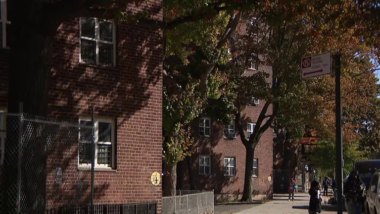 Pregnant Brooklyn mother set on fire in disturbing attack in front of ...