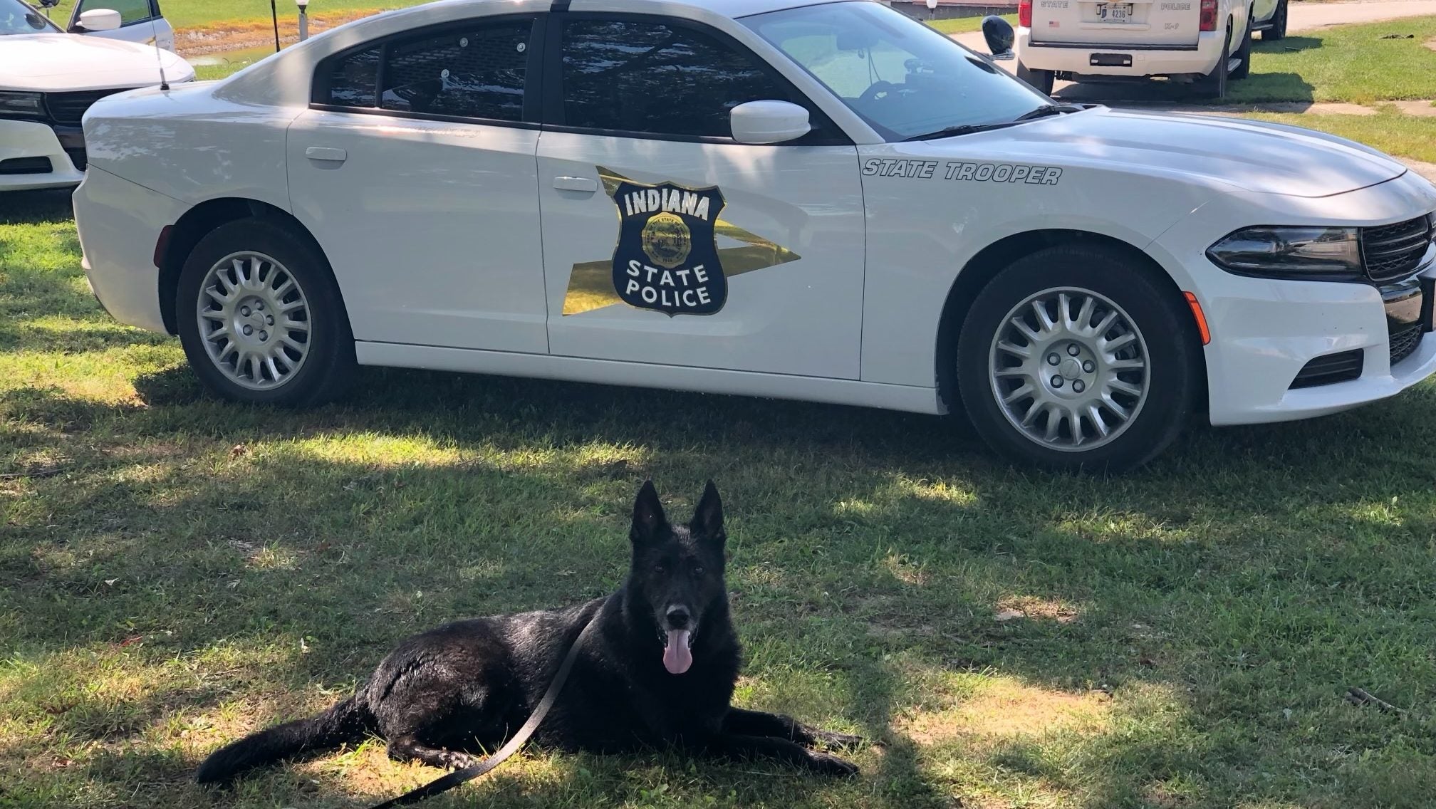 End of watch: Retired Indiana State Police K-9 Boomer dies