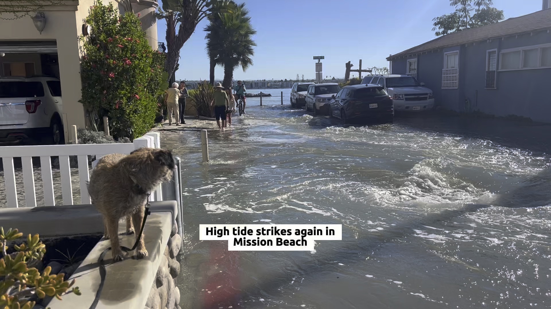 Flooding in Mission Beach, San Diego, during high tides