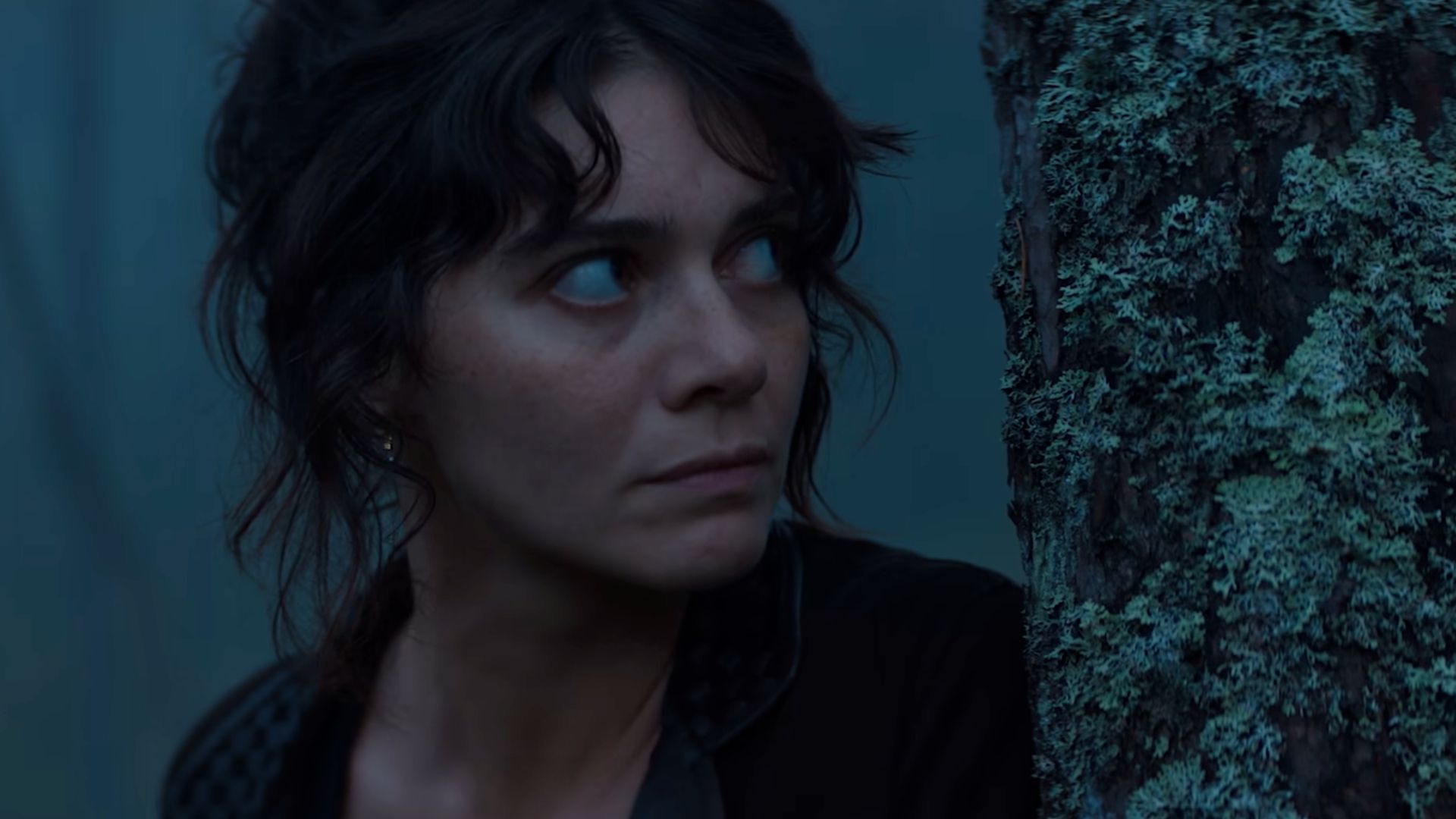 3 best all-new Netflix and Prime Video arrivals for a mid-week binge ...