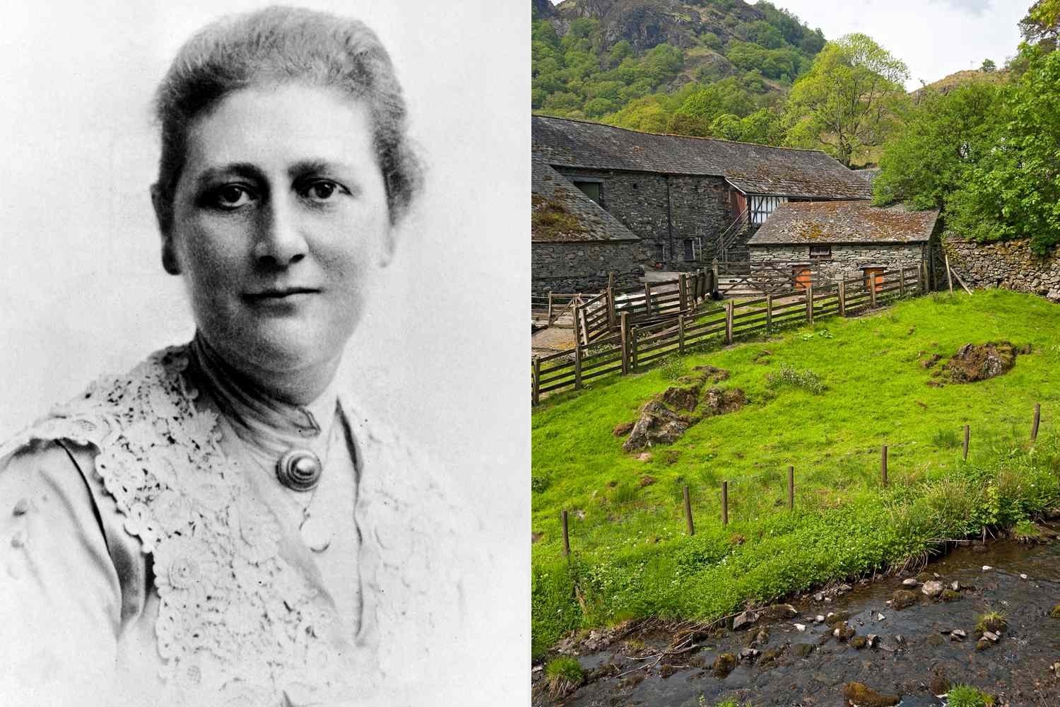 In 1905, the creator of Peter Rabbit purchased her first farm. 38 years ...