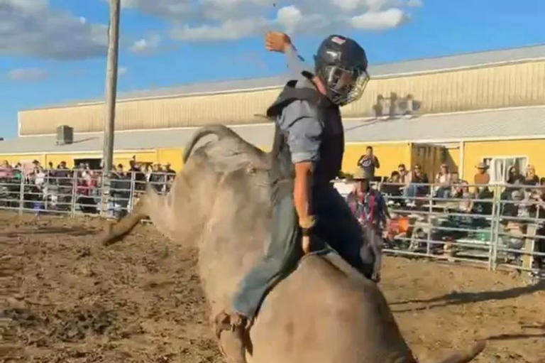 Bull rider killed in rodeo horror as bull throws him off and tramples ...