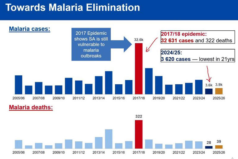 Gauteng malaria spike was due to travel in flood regions, experts conclude