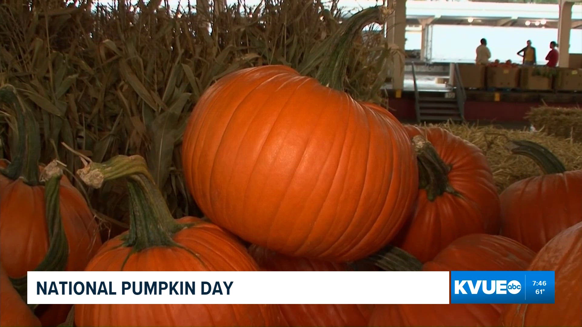 Oct. 26 is National Pumpkin Day