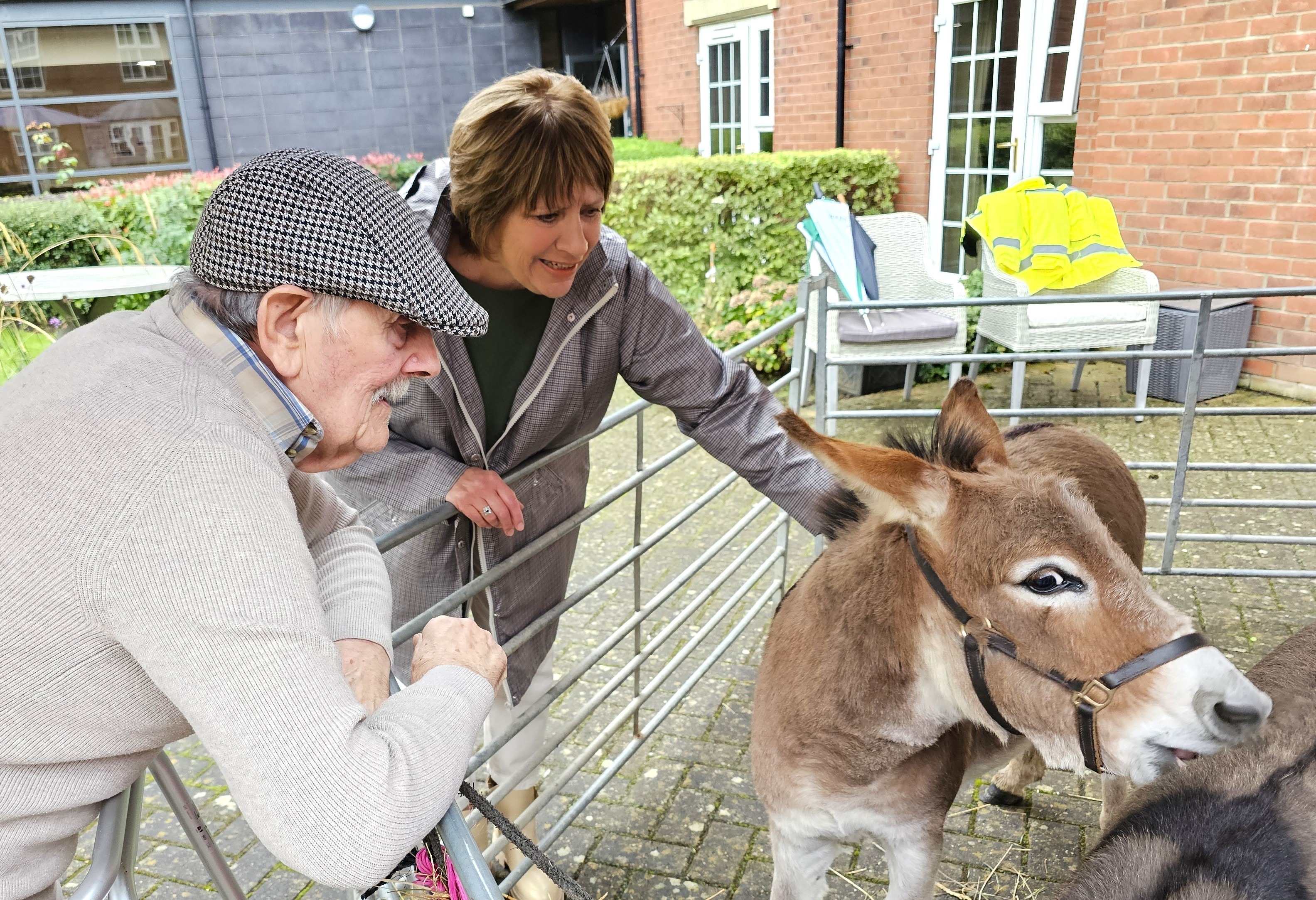 Mini donkeys bring magic to Northamptonshire care home