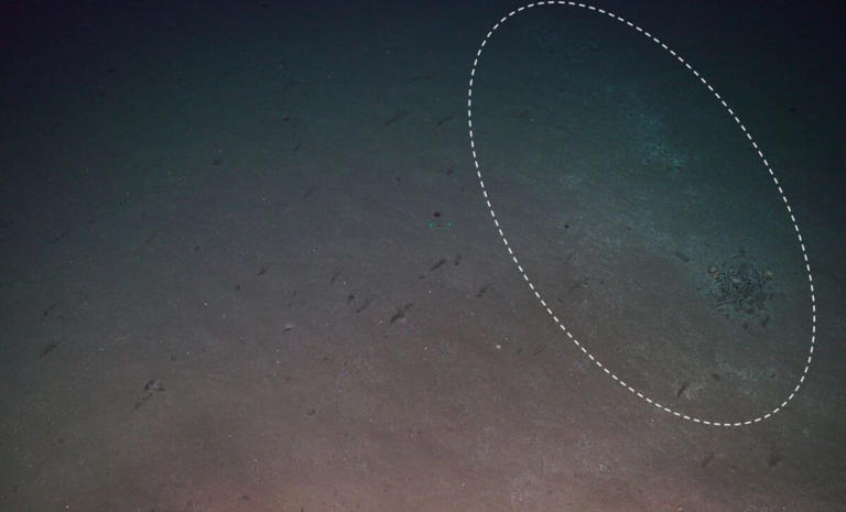 A robot scooped up sediment from a strange patch of the Arctic seafloor ...