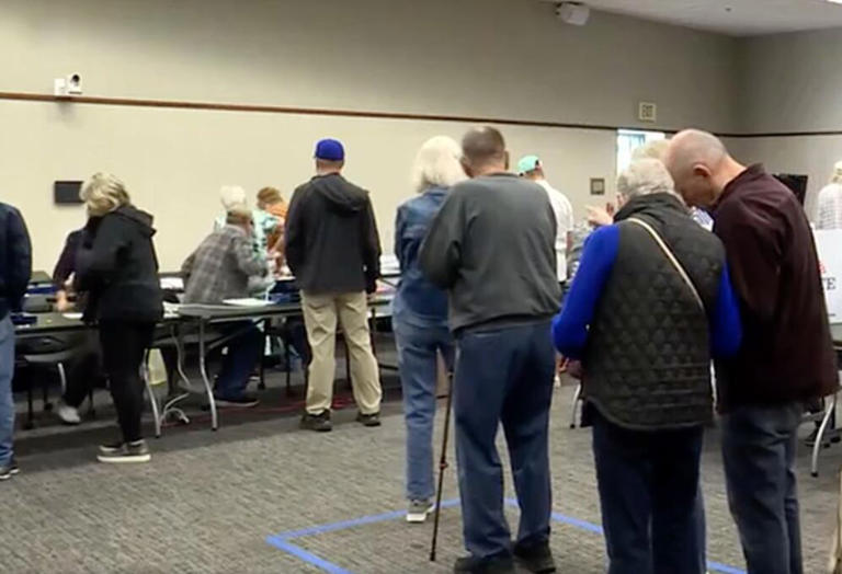 Election 101: What to know before you vote in the November election