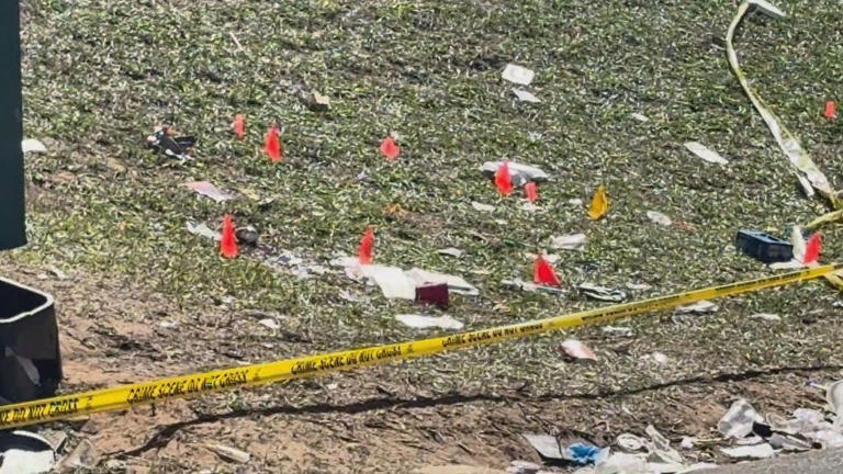 12 injured including 6 children, shooting near Florida A&M after ...