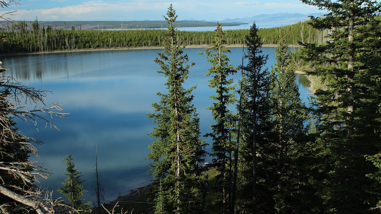 Yellowstone logged 77 earthquakes and a small hydrothermal blast at ...
