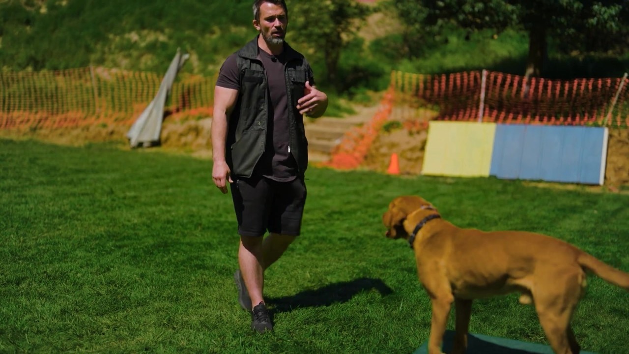 Nate Schoemer teaches dog recall without early stays