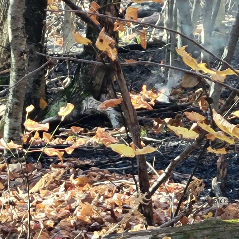 Crews battle wildfires in Rensselaer, Hamilton counties as dry ...