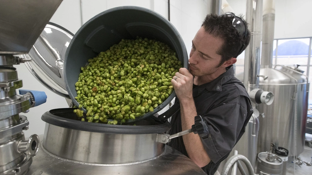 Beer brewing process explained
