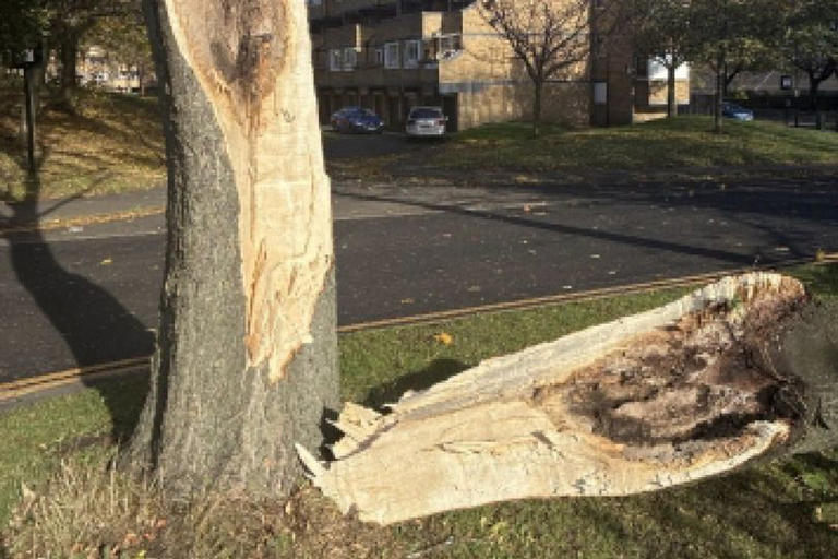 Storm Boelo causes chaos in Newcastle with dozens of trees damaged or ...