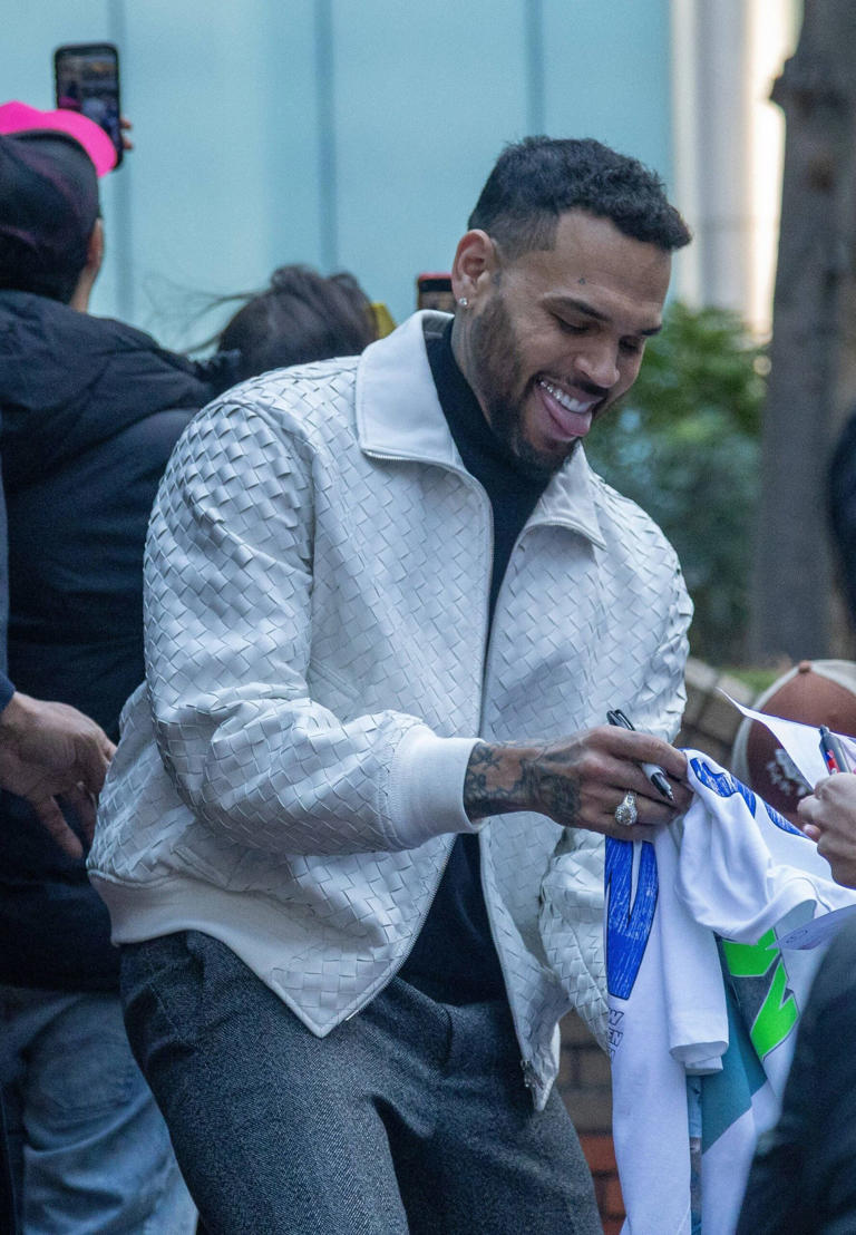 Chris Brown avoids jail after court hears he played ‘leading role’ in ...