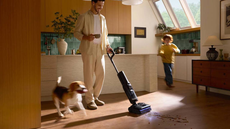 Roborock’s wet-and-dry vac offers steam and hot water cleaning – it ...