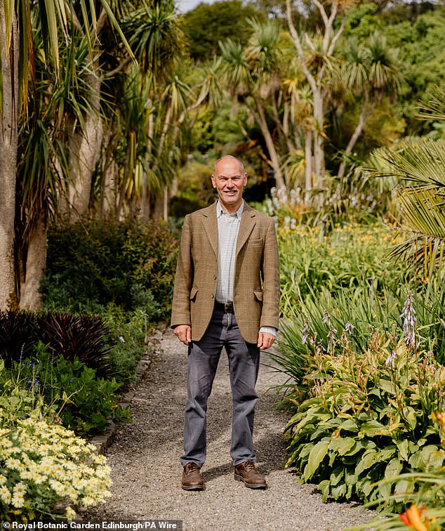 World-renowned royal gardener hit and killed by falling tree during ...