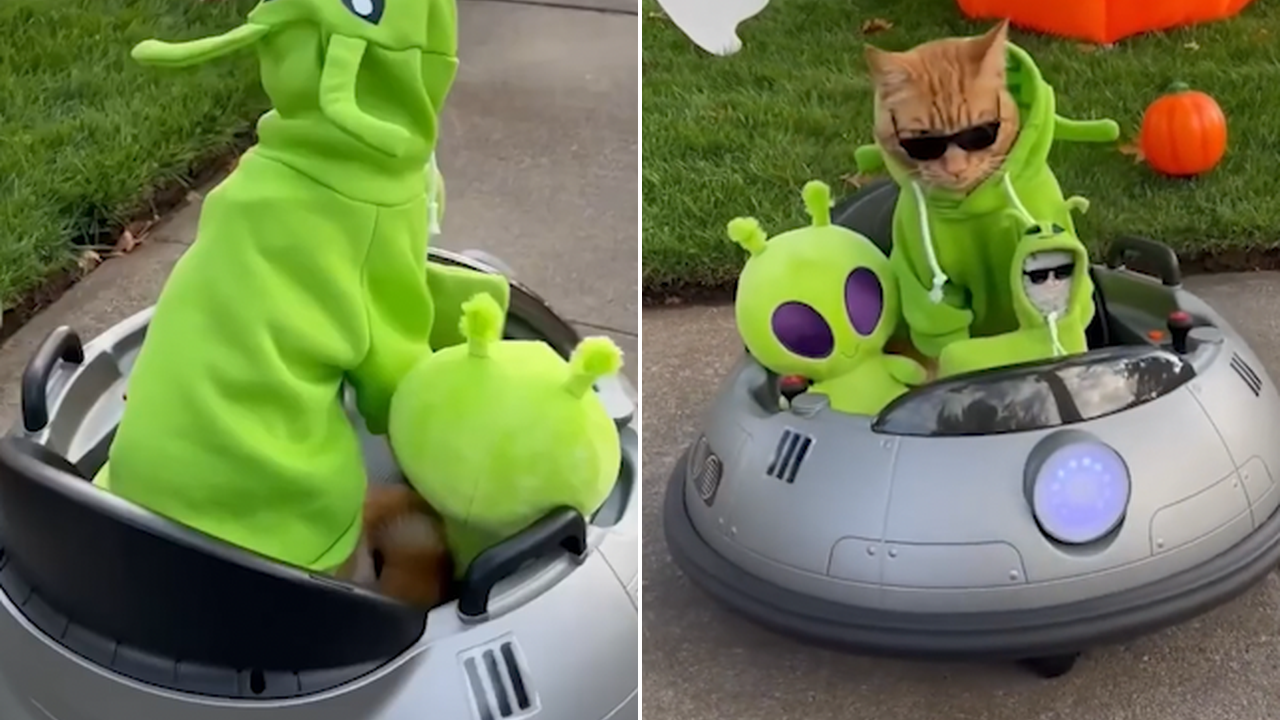 Cat takes off in her own UFO and completely steals the show