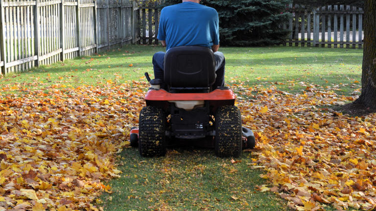 Should you rake your lawn before you mow?